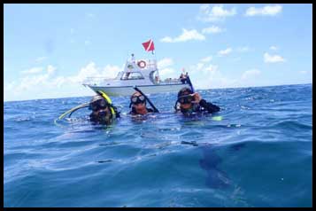 Dolphin Sun Charters | South Florida | Best Scuba Diving | The Fish Bowl