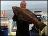Dolphin Sun Charters | South Florida | Best Scuba Diving | Best Dive Charter in Boynton Beach For Massive Groupers