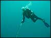Dolphin Sun Charters | South Florida | Best Scuba Diving | Boynton Beach, FL Scuba Diving