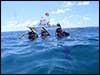 Dolphin Sun Charters | South Florida | Best Scuba Diving | Delray Beach Dive Boat